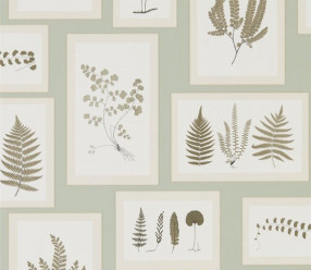 Обои Sanderson Woodland Walk 215715