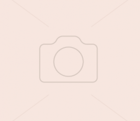 Обои Domus Parati Ornamenta (DP 95504d) виниловые